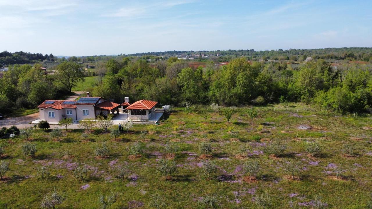 Case de vacanță 
